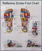 Reflexology Chart