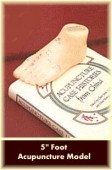 Foot Acupuncture Model 5
